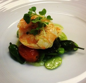 559153_3604429678687_1014888367_n