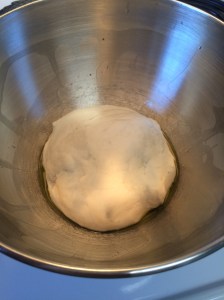 Place in an oiled bowl to rise.